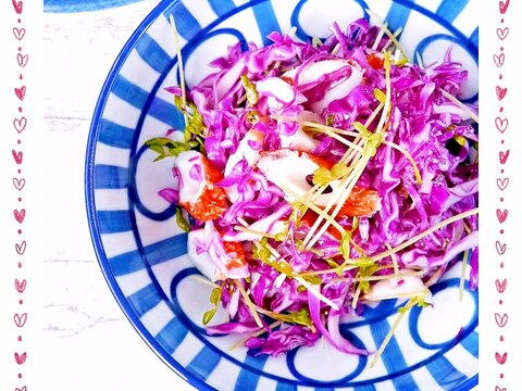 紫キャベツと豆苗の簡単あえサラダ